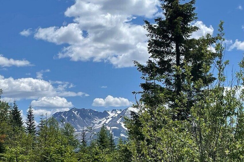 From Portland to Mt. Saint Helen Tour in a small group