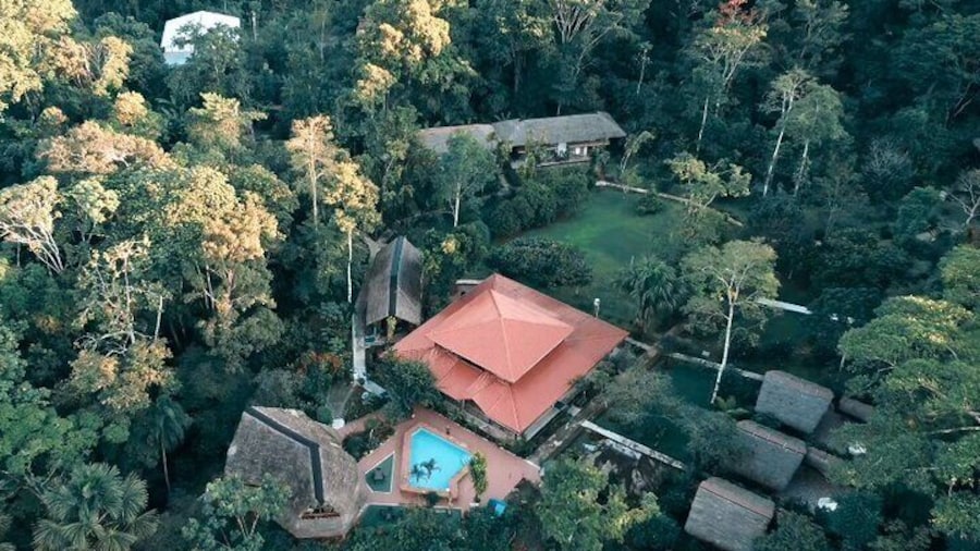Hidden gems in the heart of the Amazon.