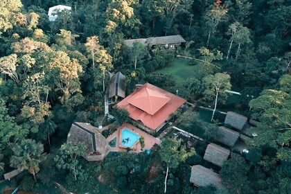 Private 3 Days All-inclusive Amazon Experience at Napo Province