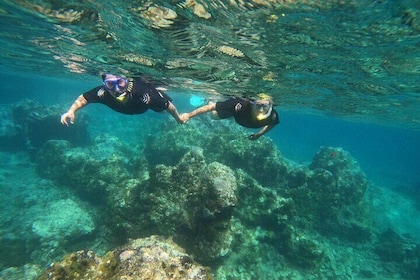 Experience Snorkelling in Puerto Del Carmen, Lanzarote