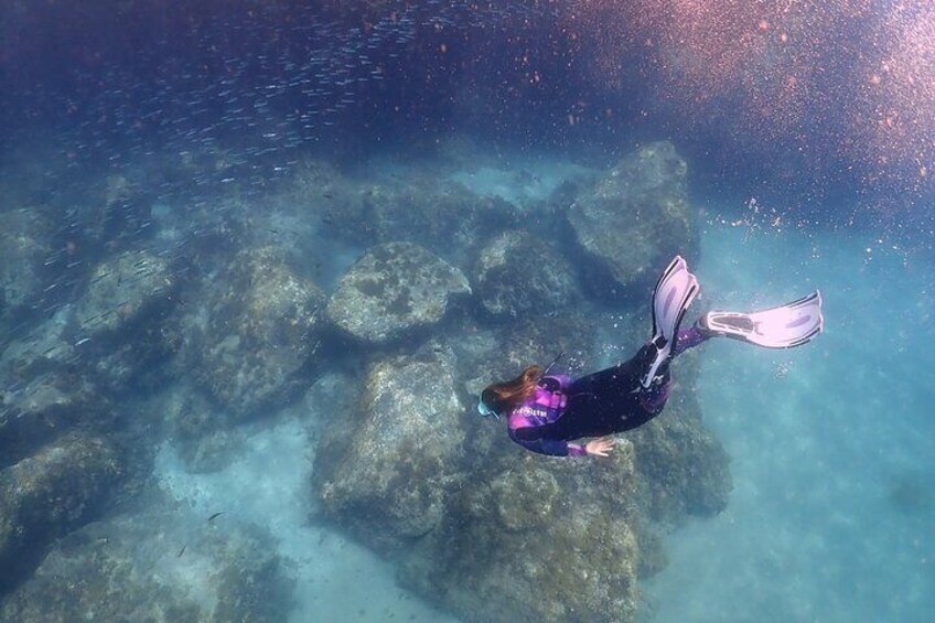 Experience Snorkelling in Puerto Del Carmen, Lanzarote