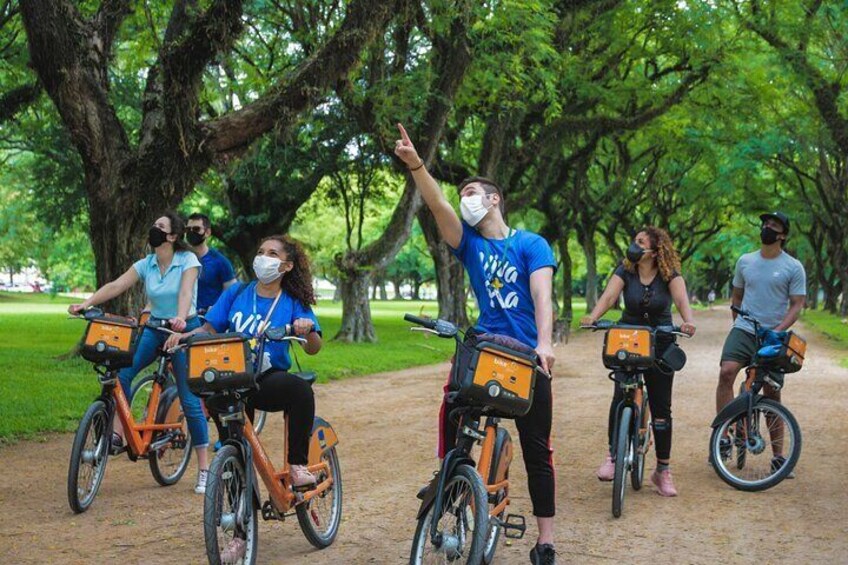 We observed the native species of vegetation and animals in the Brazilian Marine Park