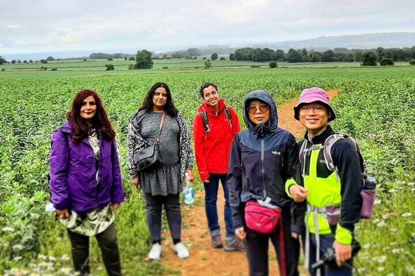 Walk through fields and wildflower meadows