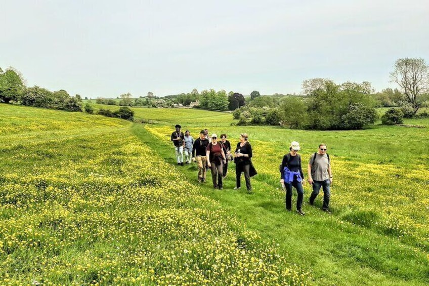 Cotswolds Walks Tour from Stratford-upon-Avon or Moreton-in-Marsh