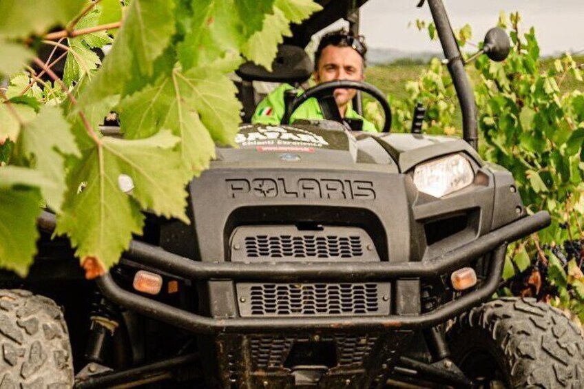 Chianti Wild Safari Adventure through Tuscan Vineyards