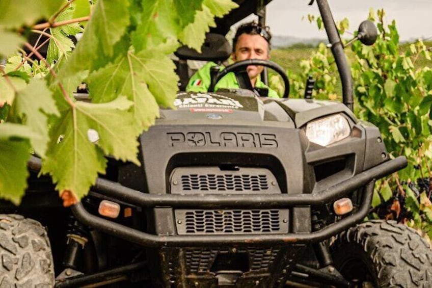 Chianti Wild Safari Adventure through Tuscan Vineyards