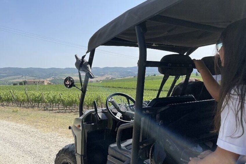 Chianti Wild Safari Adventure through Tuscan Vineyards