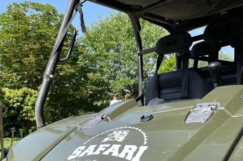Chianti Wild Safari Adventure through Tuscan Vineyards