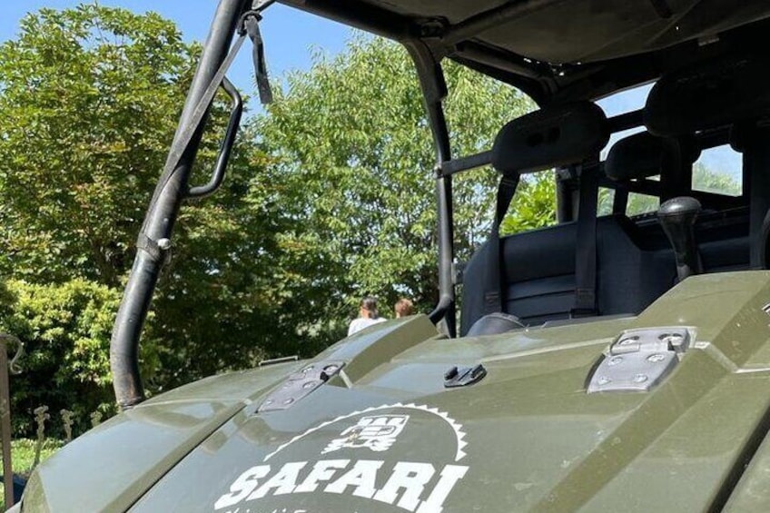 Chianti Wild Safari Adventure through Tuscan Vineyards