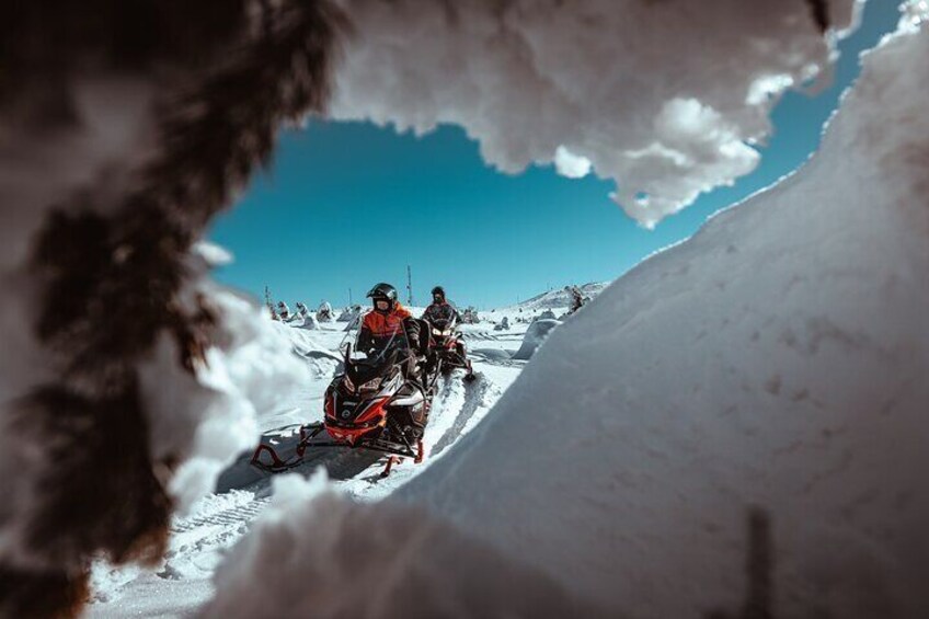 Full Day Snowmobile Safari to Wilderness in Levi