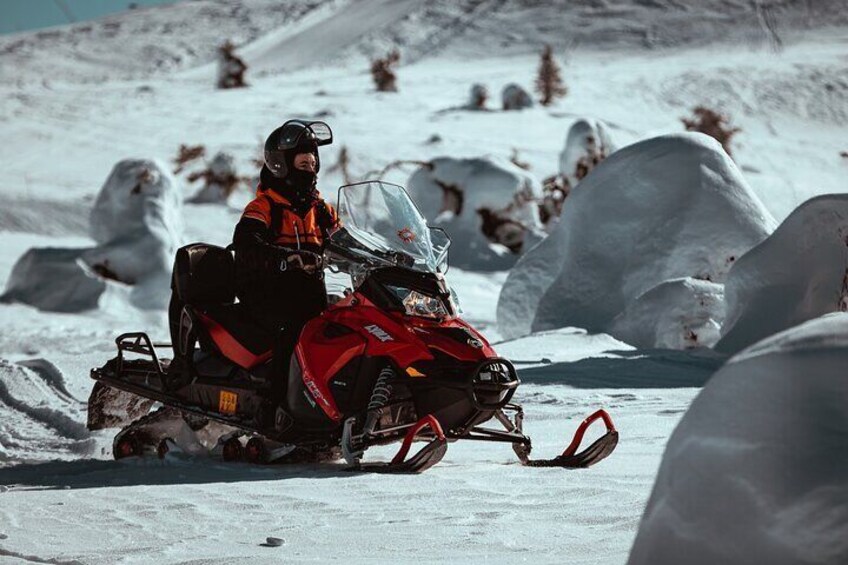 Full Day Snowmobile Safari to Wilderness in Levi