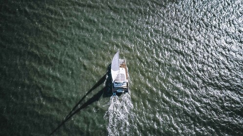 La Rochelle : Catamaran Tour