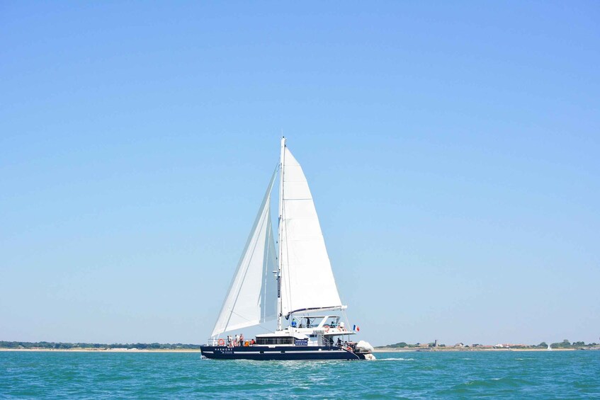 Picture 2 for Activity La Rochelle : Catamaran Tour