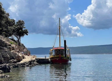 Golden Beach & island Plavnik Cruise, optional grill picnic