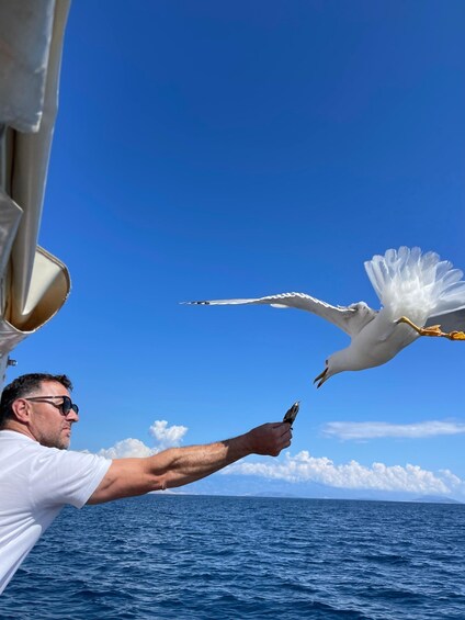 Picture 4 for Activity Golden Beach & island Plavnik Cruise, optional grill picnic