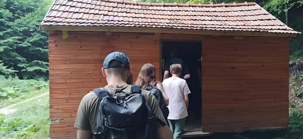 Picture 5 for Activity Brașov: 4-Hour Bear Watching Tour in Carpathian Mountains