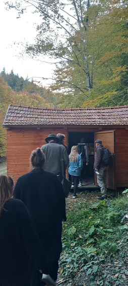 Picture 1 for Activity Brașov: 4-Hour Bear Watching Tour in Carpathian Mountains