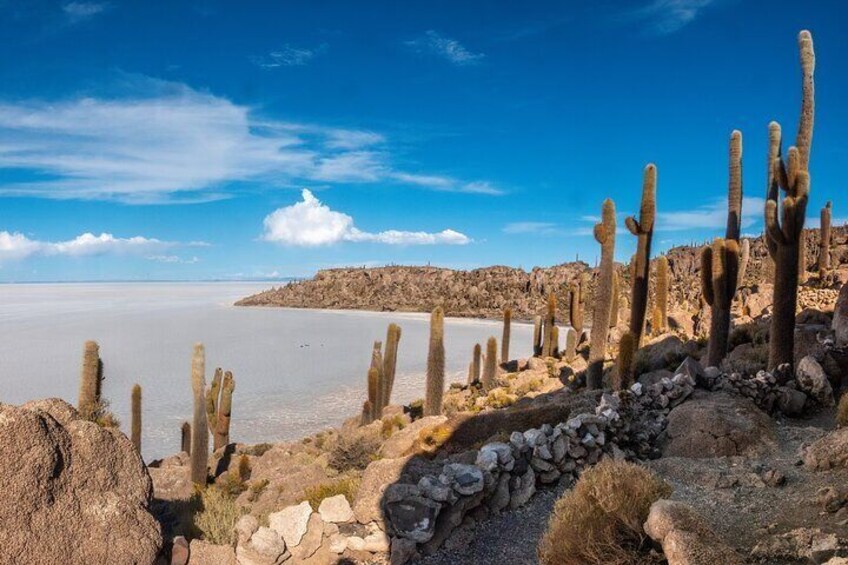 Full Day Private Tour Salar de Uyuni