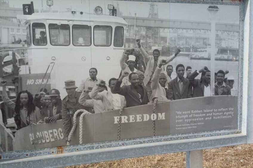 Robben island, Boulder's beach,cape point/good hope private tour