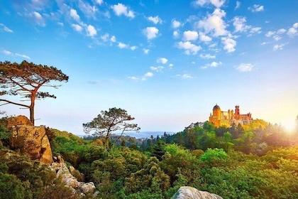 Private Tour Sintra and Cascais Natural Park - Magic Tours