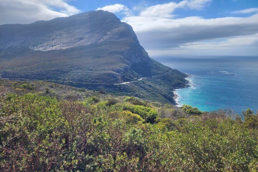 false bay view point