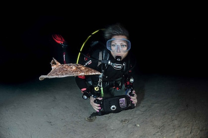 Menorca: Night Dive (Certified Divers)