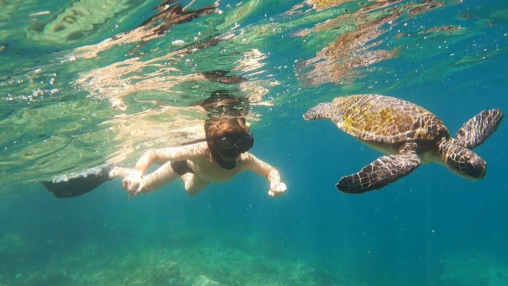 Picture 2 for Activity A day in Ilha Grande Snorkeling with turtles Privado