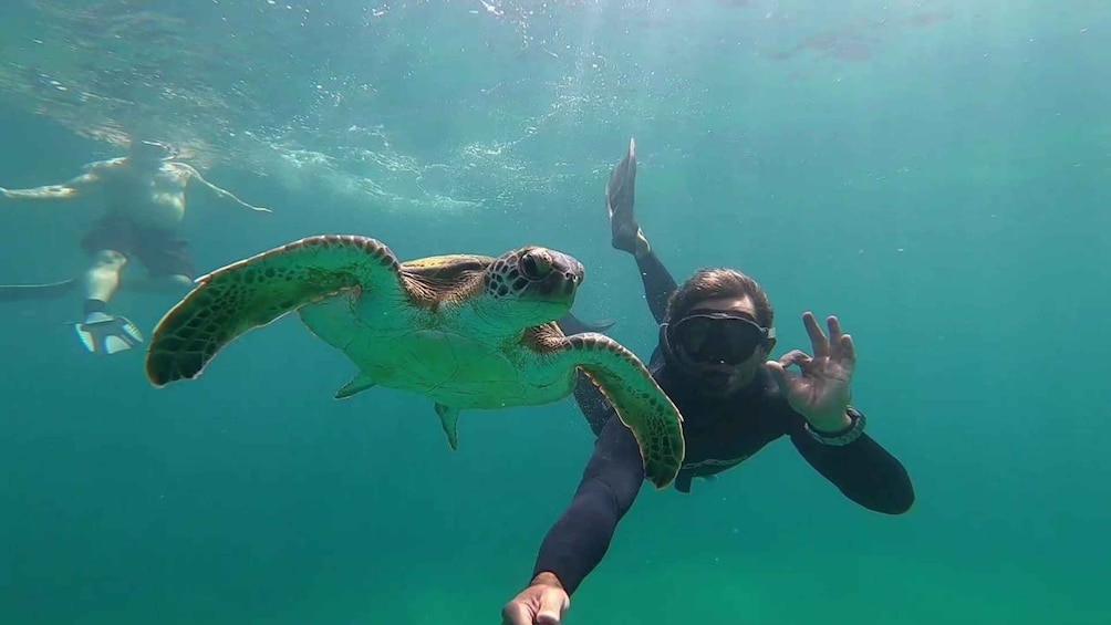 Picture 5 for Activity A day in Ilha Grande Snorkeling with turtles Privado