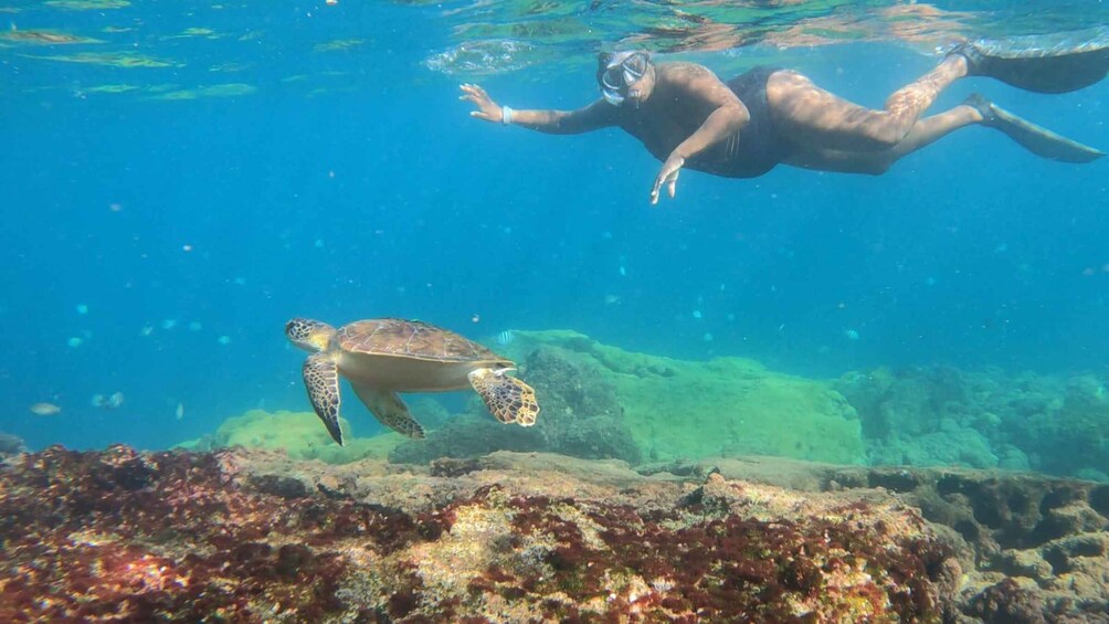 Picture 4 for Activity A day in Ilha Grande Snorkeling with turtles Privado