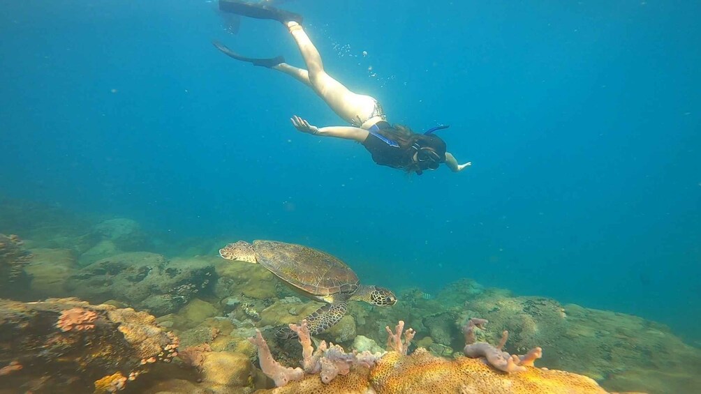 Picture 7 for Activity A day in Ilha Grande Snorkeling with turtles Privado