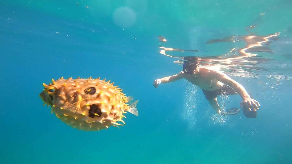 Picture 6 for Activity A day in Ilha Grande Snorkeling with turtles Privado