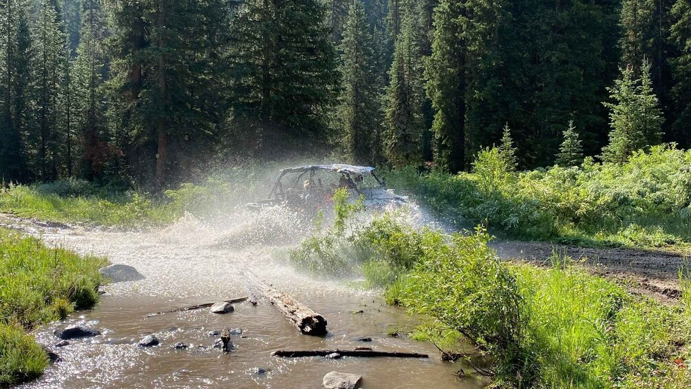 Picture 4 for Activity Jackson: Jackson Hole Side-By-Side Off-Roading Rentals