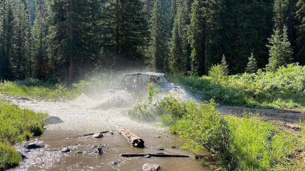Picture 4 for Activity Jackson: Jackson Hole Side-By-Side Off-Roading Rentals
