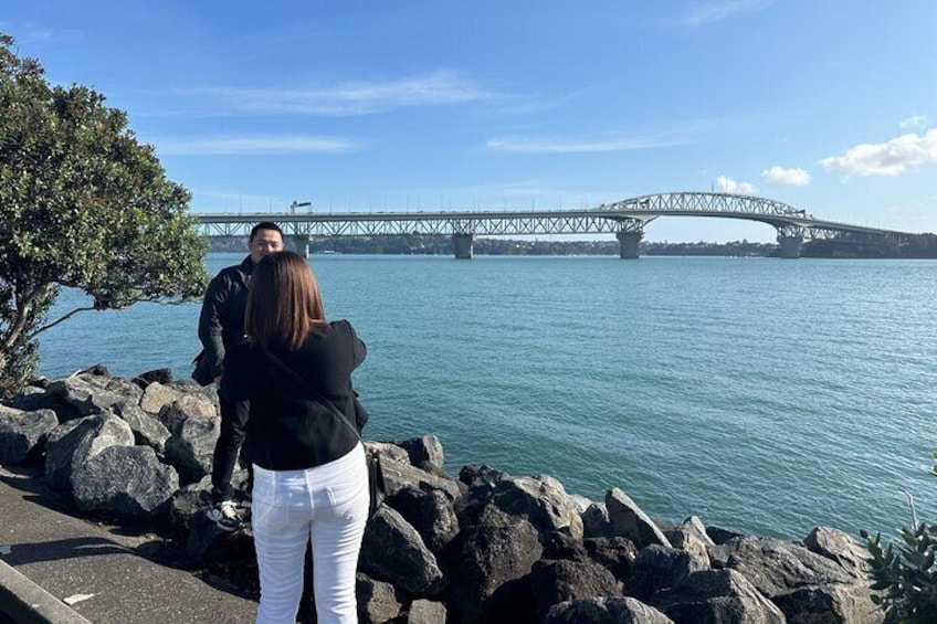 Auckland City Top Spots Half Day Tour(Small Group Tour)