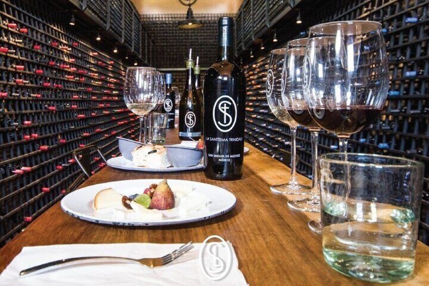 Sensory Wine Tasting Experience in Spanish