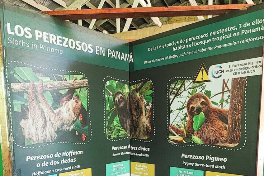 Visit the Island of Monkeys and Sloths from Riu Playa Blanca