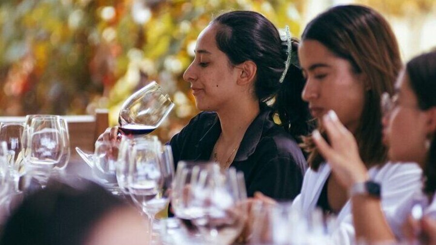 Tour and Wine Tasting in Cuna de Tierra