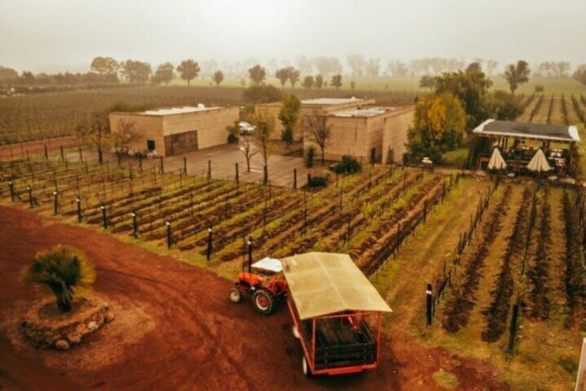 Tour and Wine Tasting in Cuna de Tierra