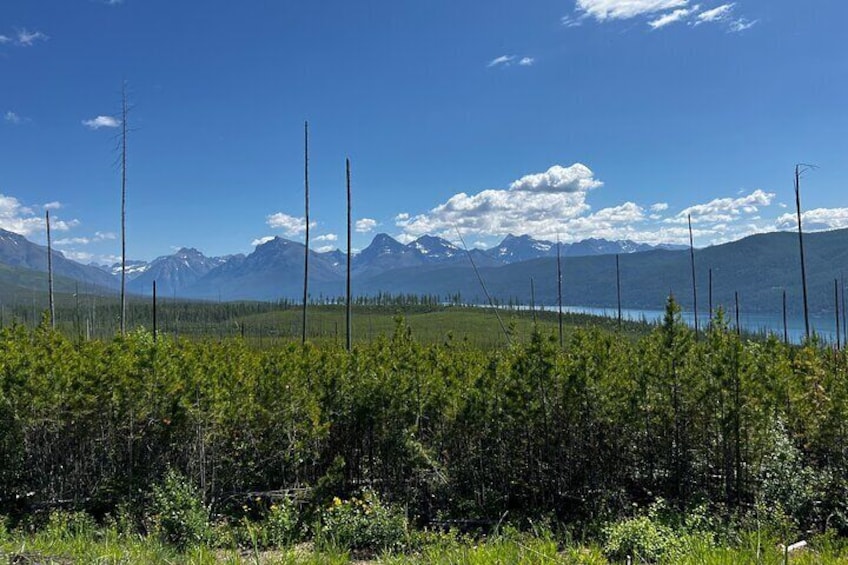 Nature Walk Glacier National Park