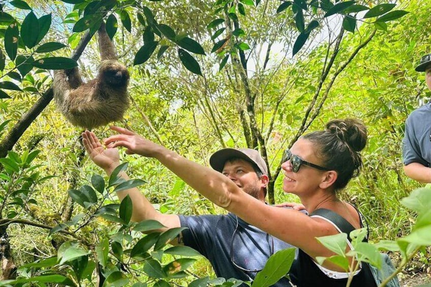  Allan Adventures at Dreams las Mareas. Sloth & Waterfall tour with culture experience in a coffee and sugarcane plantation 