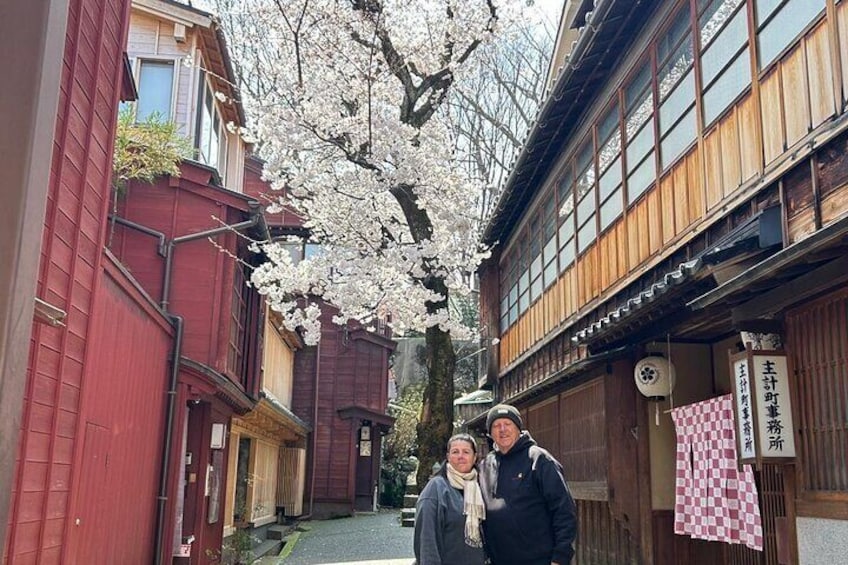 Beatiful Cherry blossom at Kazue-machi Chaya District (Spring)