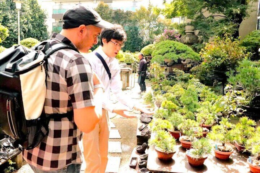 Bonsai Experience at the Most Sacred Place for Bonsai in Japan