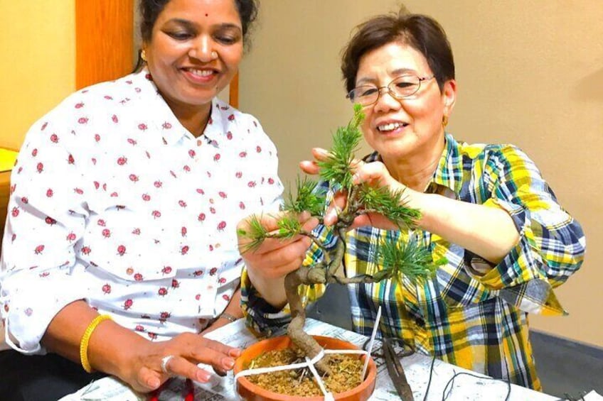 Bonsai Experience at the Most Sacred Place for Bonsai in Japan