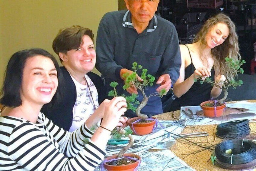 Bonsai Experience at the Most Sacred Place for Bonsai in Japan