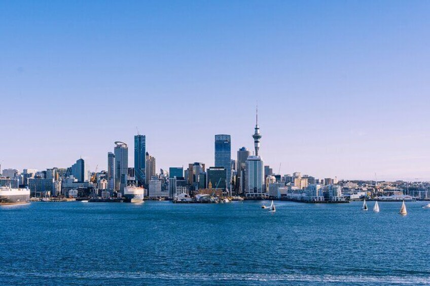 Full day Auckland Tour from Coast to City with Exclusive Pick up