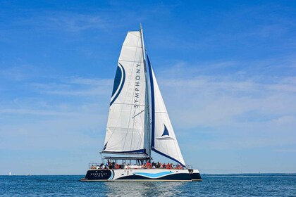 Saint-Martin-de-Ré : Island coasts in the wind's sway (2h)