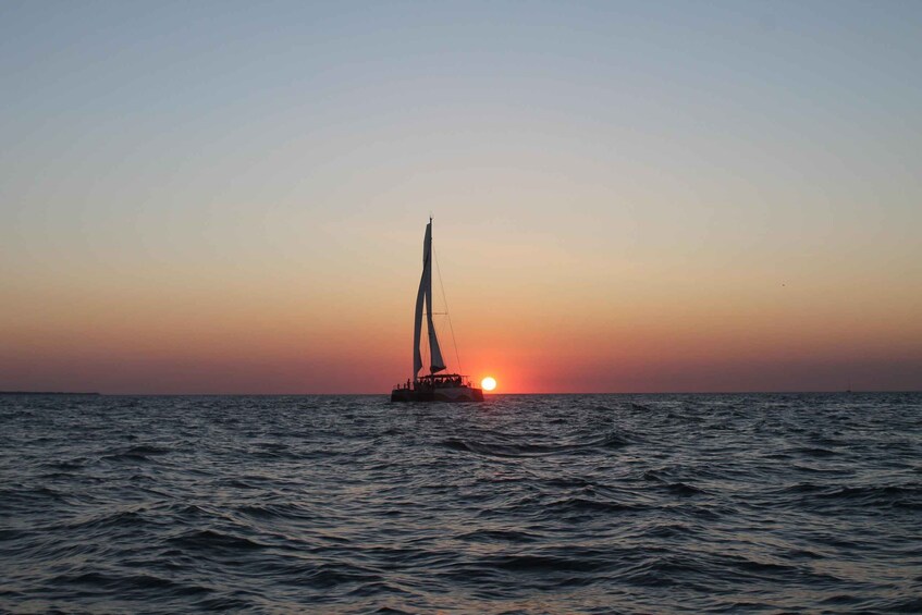 Picture 2 for Activity Saint-Martin-de-Ré : Sunset Catamaran Cruise (2h00)