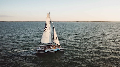 Saint-Martin-de-Ré : Sunset Catamaran Cruise (2h00)