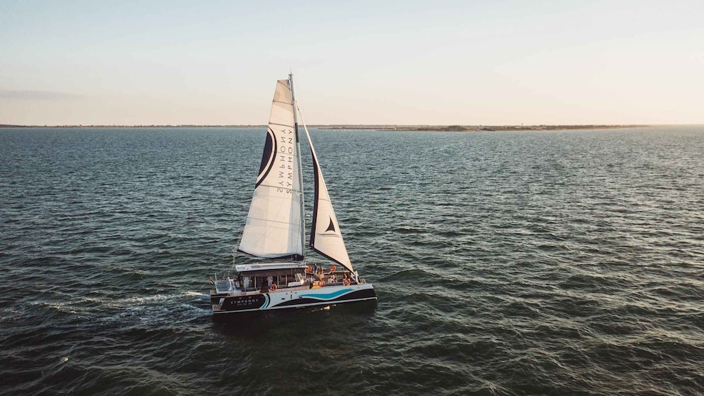 Saint-Martin-de-Ré : Sunset Catamaran Cruise (2h00)