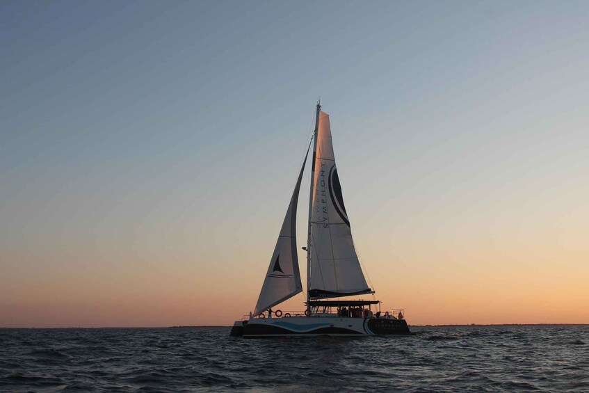 Picture 4 for Activity Saint-Martin-de-Ré : Sunset Catamaran Cruise (2h00)